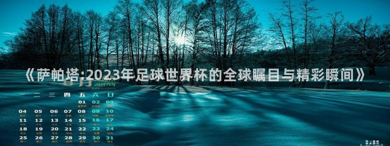 世界杯女足直播:《萨帕塔:2023年足球世界杯的全球瞩目与精彩瞬间》