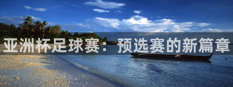 2026世界杯赛程:亚洲杯足球赛:预选赛的新篇章
