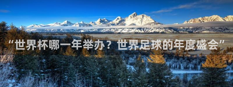 男足世界杯预选赛赛程:“世界杯哪一年举办?世界足球的年度盛会”