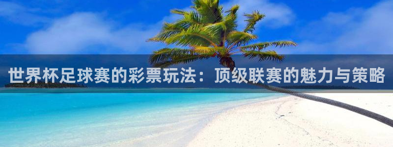 世界杯足球比赛:世界杯足球赛的彩票玩法:顶级联赛的魅力与策略